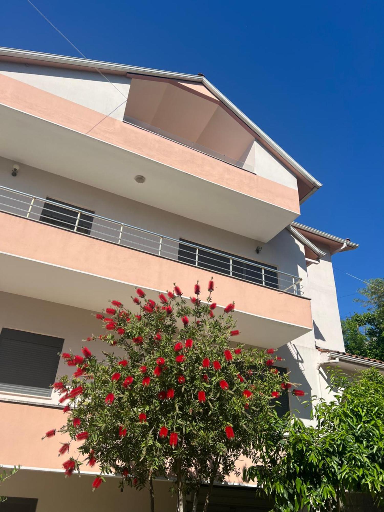Flower Terrace Apartment Gjirokastër Exterior foto